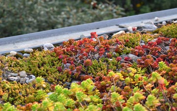 the cost of Hildersham green roof installation