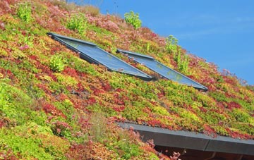 Hildersham living roof systems